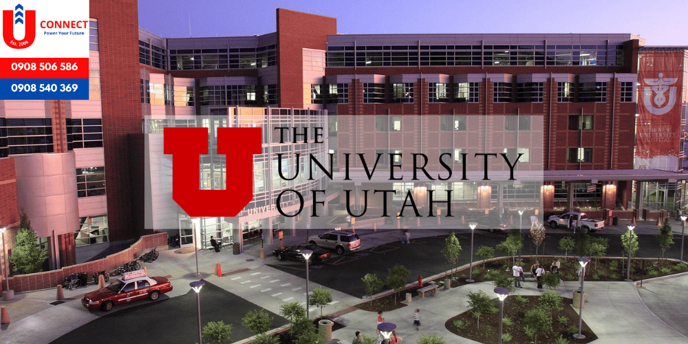 Du học ngành Dược sĩ tại Mỹ